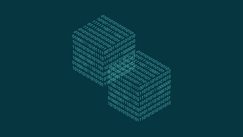 扶沟县信创改造：网络应用开发流程标准化的核心路径与实践